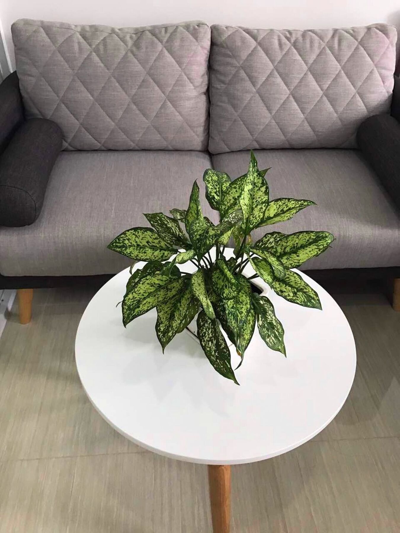 Smile Apartment 10 مدينة هوشي منه المظهر الخارجي الصورة